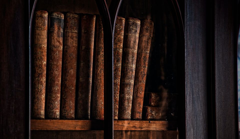 Old leather books framed by a wooden shelf. The books have brown spines, with titles worn away. 